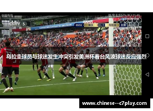 乌拉圭球员与球迷发生冲突引发美洲杯看台风波球迷反应强烈